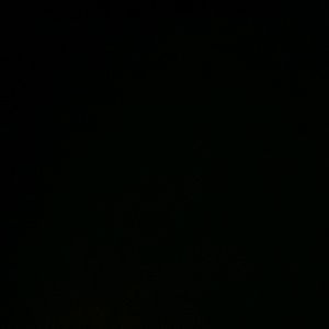 Meet your Posher, Ernesto